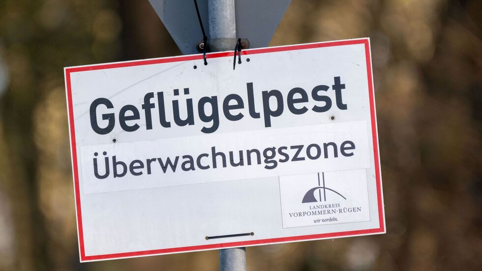 Pro getötetem Tier können Tierhalterinnen und Tierhalter bis zu 50 Euro erhalten. (Symbolbild)