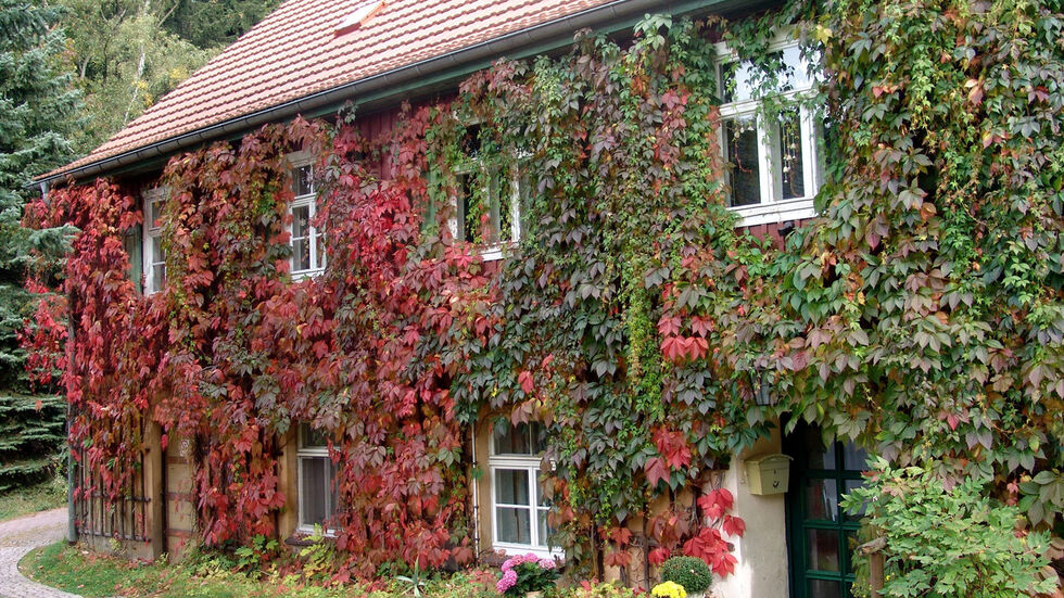 Sachsens schönster Landhof. Die Ferien­woh­nung Kretz­schmar/Weinhardt in Lauen­stein. Fotoquelle: www.landreise.de Sachsens schönster Landhof. Die Ferienwohnung Kretzschmar/Weinhardt in Lauenstein. Fotoquelle: www.landreise.de
