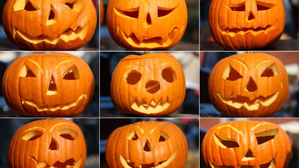 Geschnitzte Kürbisse: Nicht zuletzt Halloween hat den Kürbis hierzulande beliebter gemacht. (Archivbild) Geschnitzte Kürbisse: Nicht zuletzt Halloween hat den Kürbis hierzulande beliebter gemacht. (Archivbild)