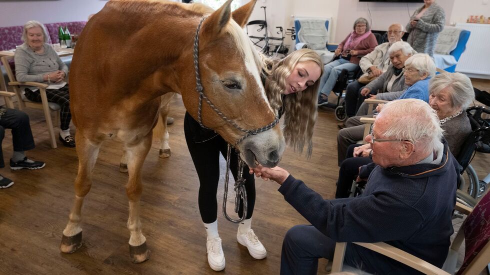 Der Besuch der Stute ist für die alten Menschen eine willkommene Abwechslung zum Alltag im Altersheim. Der Besuch der Stute ist für die alten Menschen eine willkommene Abwechslung zum Alltag im Altersheim.