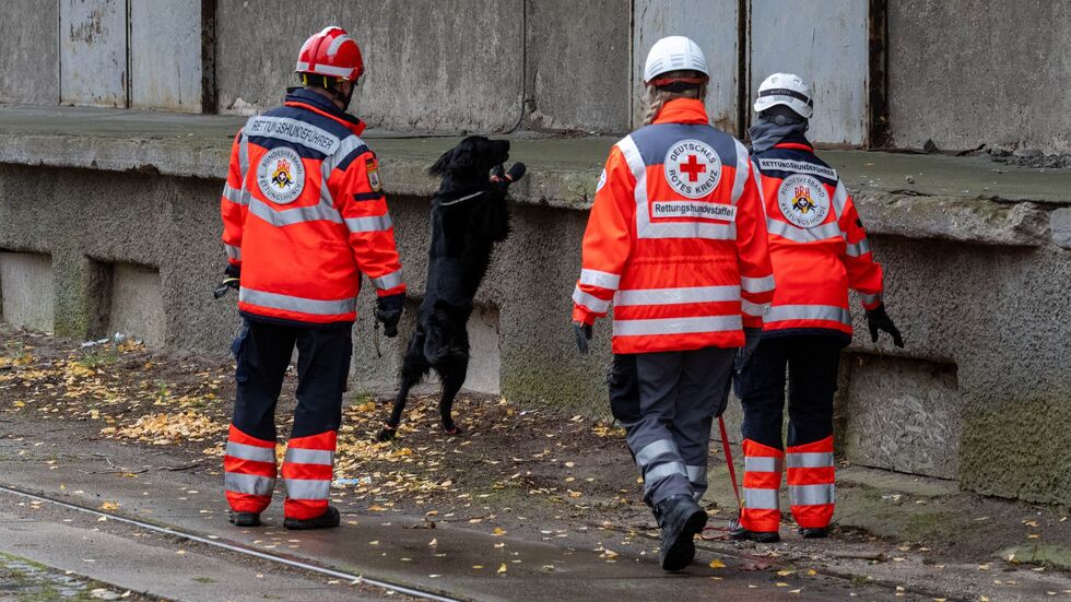 Mehrere Rettungshundestaffeln suchen in Güstrow nach einem Jungen. Mehrere Rettungshundestaffeln suchen in Güstrow nach einem Jungen.