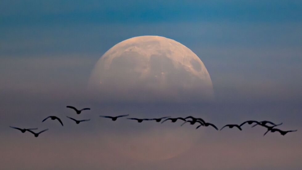 Nach Sonnenuntergang steht heute Abend ein Supermond am Himmel. (Archivbild)