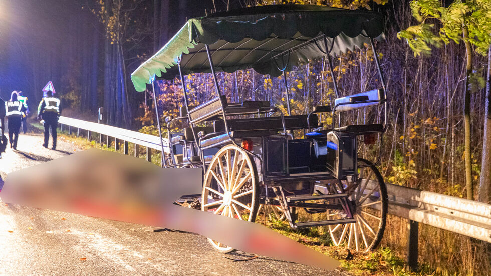 Auch die Kutsche wird schwer beschädigt.