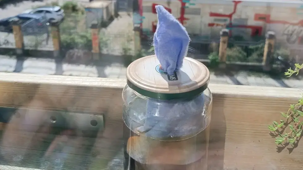 Durch das Aufstellen sogenannter Dochttöpfe kann man relativ einfach prüfen, welche Insektenarten sich in der näheren Umgebung befinden.