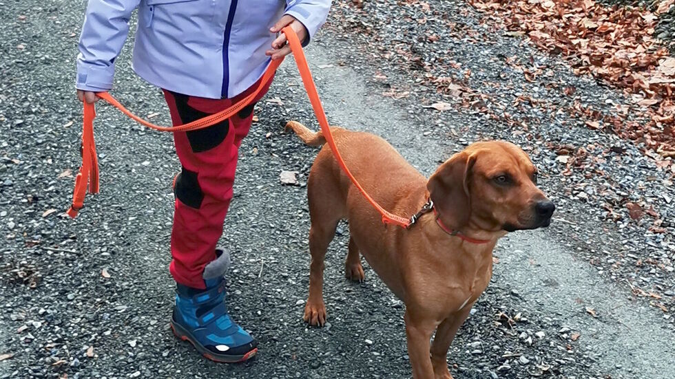 Balu ist mittelgroß, etwa kniehoch und sehr kinderlieb.