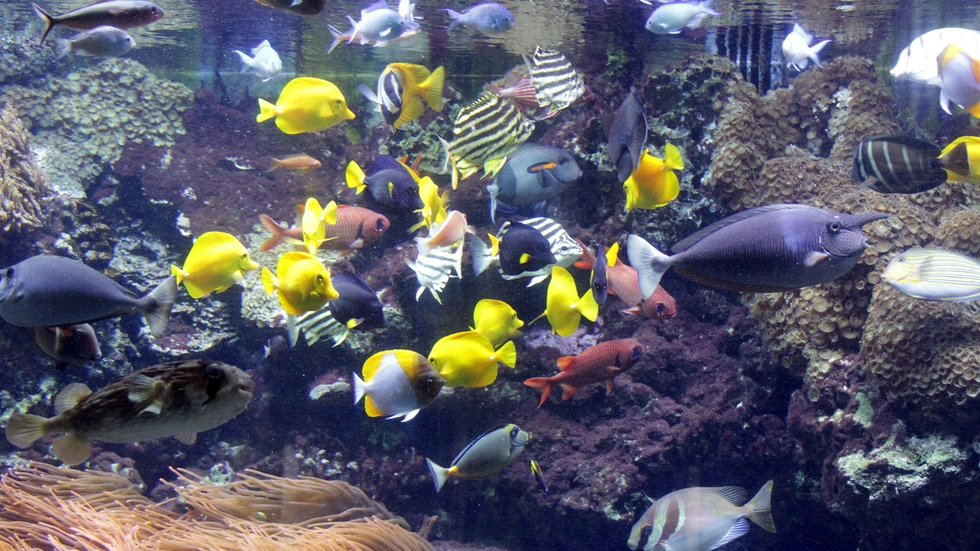 (c) Zoo Leipzig Aquarium
