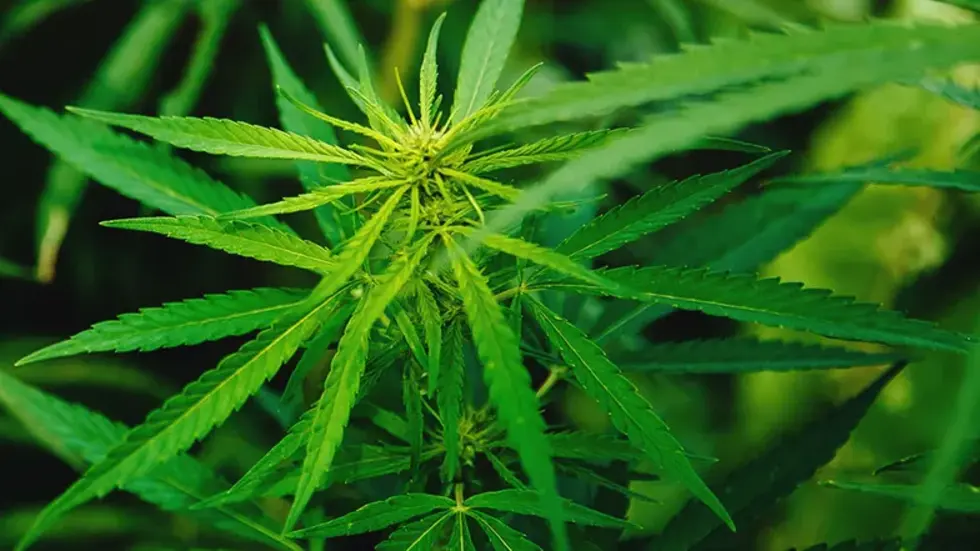 Symbolbild: Copyright_123rf_parilovv