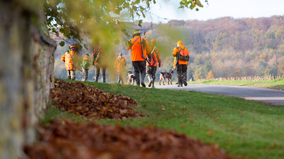 Symbolbild Symbolbild