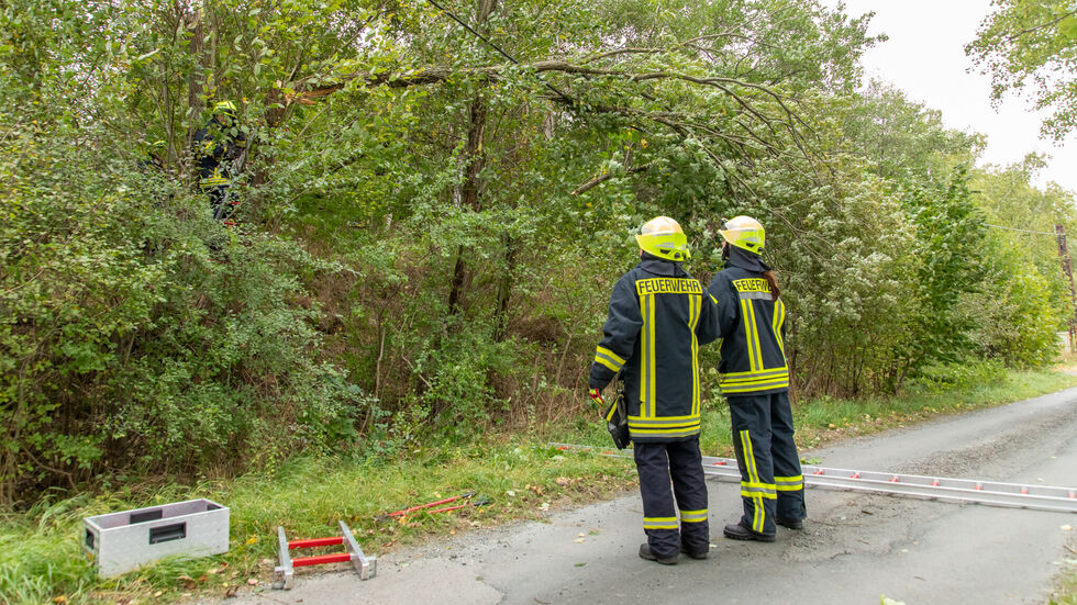 Der Baum hängt in der Telefonleitung. Der Baum hängt in der Telefonleitung.