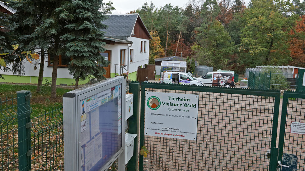 Der Eingangsberich vom Tierheim am Vielauer Wald. Der Eingangsberich vom Tierheim am Vielauer Wald.