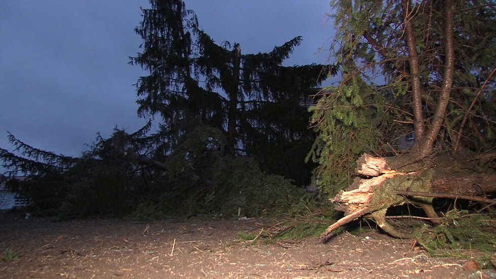 © Michael Müller © Michael Müller