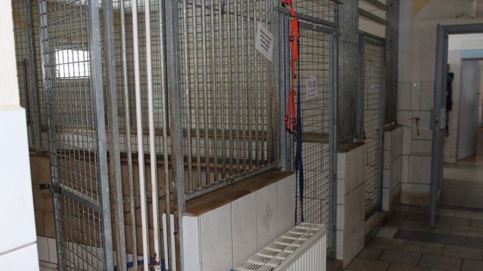 Um diese alten Zwinger geht es. 