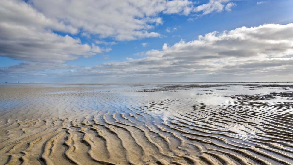 © Fotolia - Hartmut Vogler