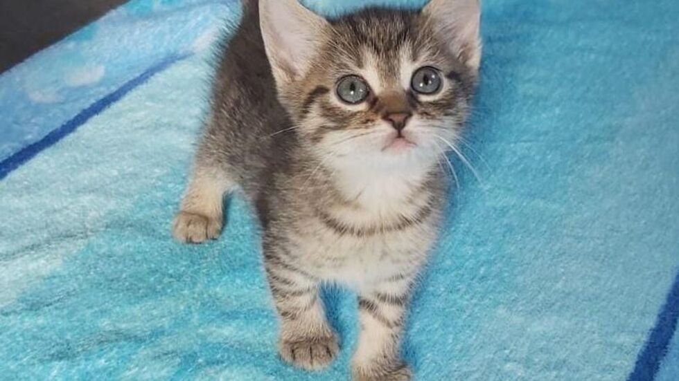 Ein Foto aus der Kinderstube.