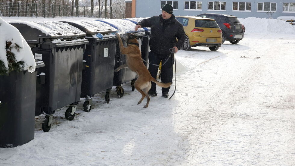 Ein Spürhund beim Einsatz auf dem Gelände. Ein Spürhund beim Einsatz auf dem Gelände.