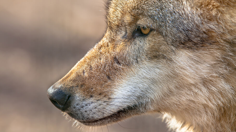 Symbolbild Symbolbild