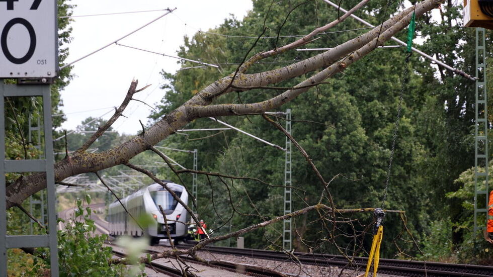 Ein umgestürzter Baum hat den Zugverkehr zwischen Chemnitz und Dresden lahmgelegt. Ein umgestürzter Baum hat den Zugverkehr zwischen Chemnitz und Dresden lahmgelegt.