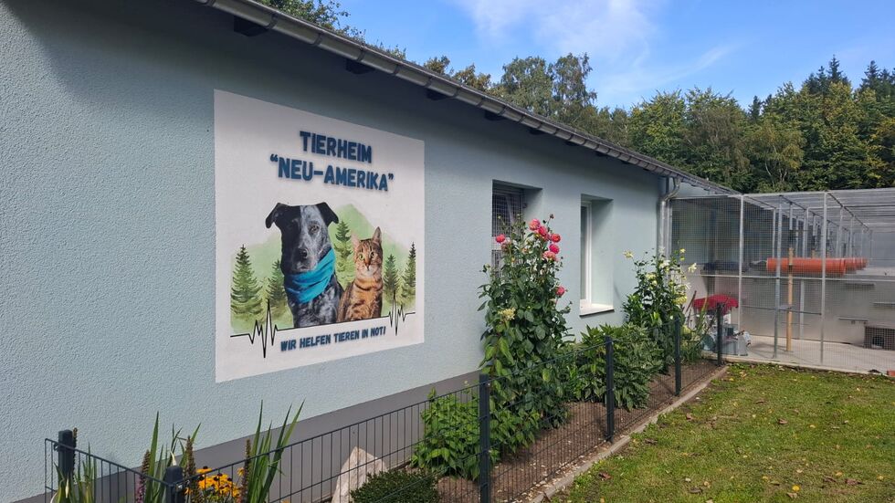 Das Tierheim Neu-Amerika