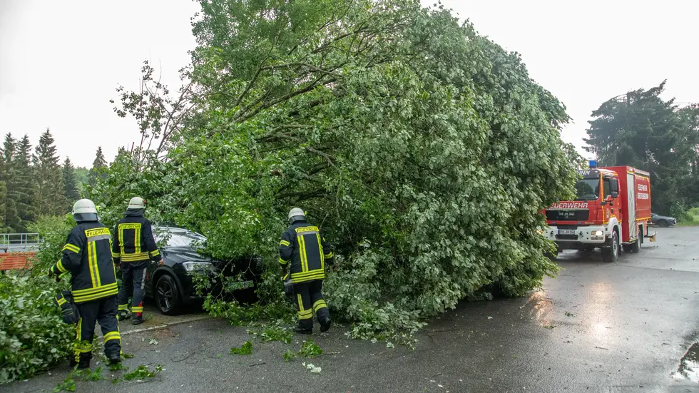 Ein großer Baum stürzte in Breitenbrunn auf zwei Autos.