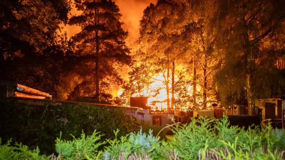 Mehrere Gartenhütten direkt am Wald standen in Vollbrand. Mehrere Gartenhütten direkt am Wald standen in Vollbrand.