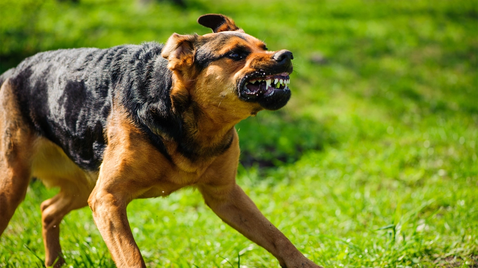 Symbolbild Symbolbild