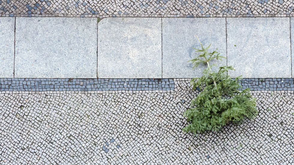 Symbolbild Symbolbild