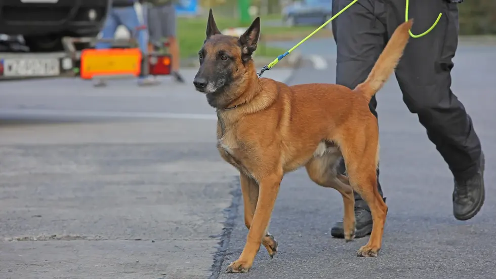 Symbolbild Symbolbild