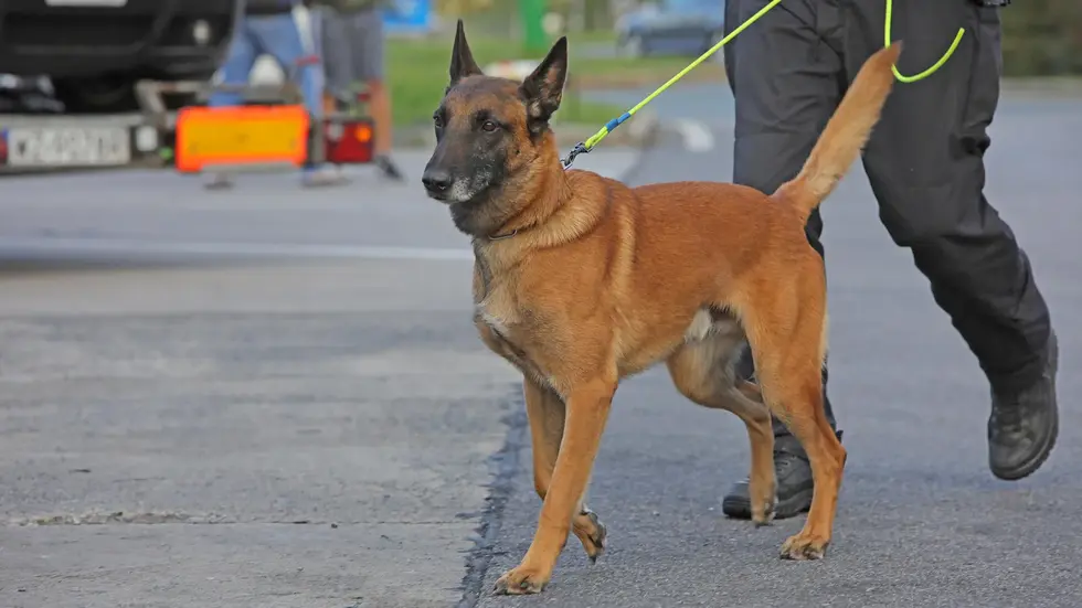 Symbolbild Symbolbild