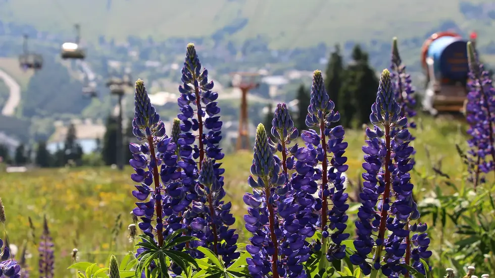 Symbolbild Symbolbild