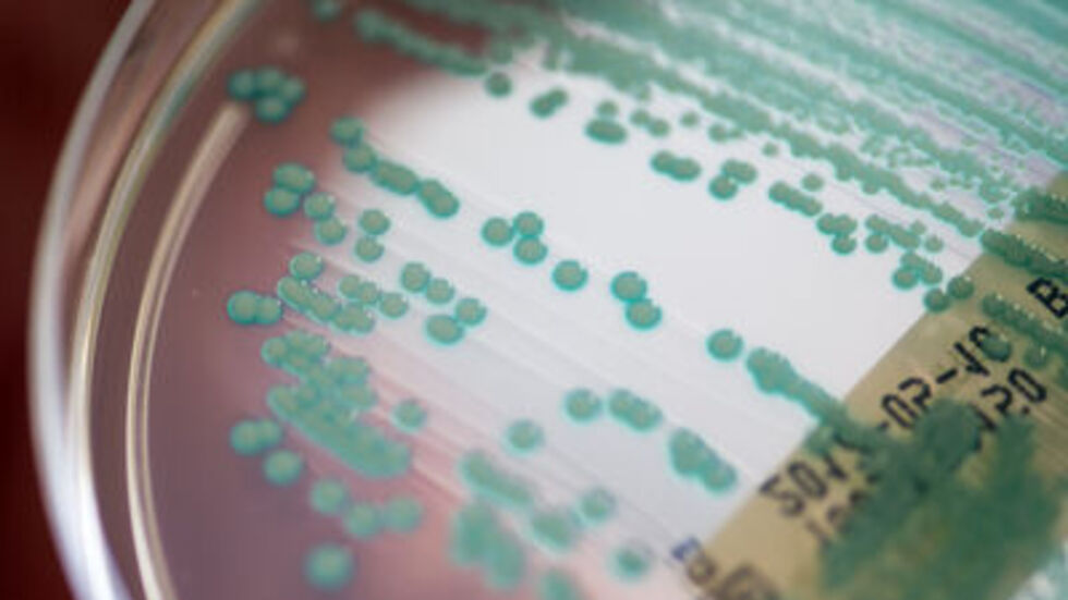 Symbolbild © Armin Weigel/dpa Symbolbild © Armin Weigel/dpa