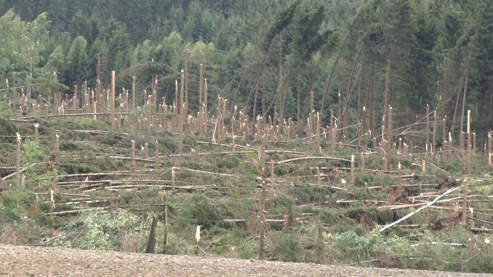 Der Tornado hat riesige Schneisen in Wäldern rund um Stollberg hinterlassen. © Bernd März