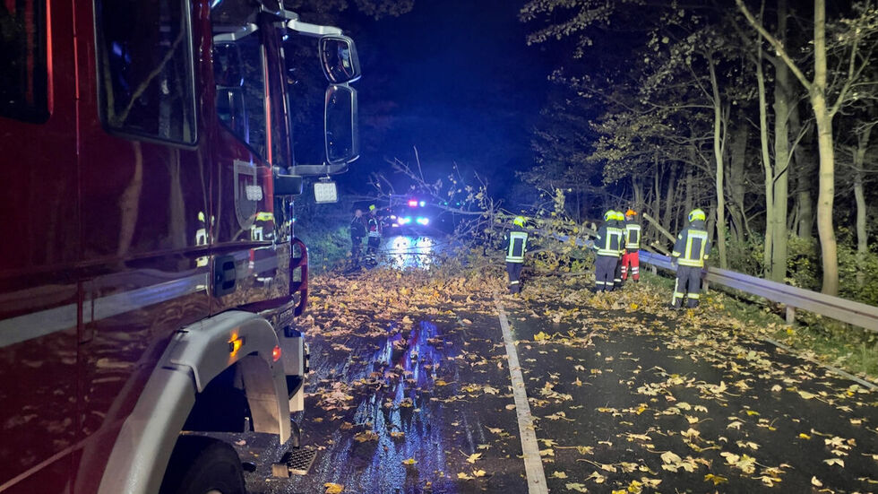 In der Nacht war ein Baum auf die Auer Straße gestürzt. In der Nacht war ein Baum auf die Auer Straße gestürzt.