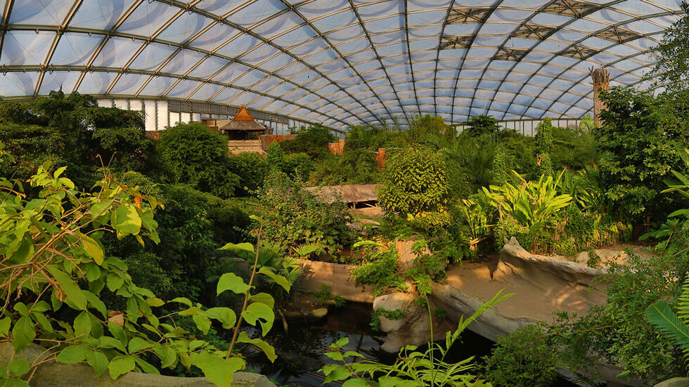 Das Gondwana-Land im Zoo Leipzig bleibt wegen der nachgewiesenen Vogelgrippe bei einem Tier geschlossen. Das Gondwana-Land im Zoo Leipzig bleibt wegen der nachgewiesenen Vogelgrippe bei einem Tier geschlossen.