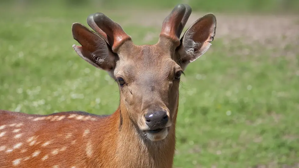 Symbolbild Symbolbild