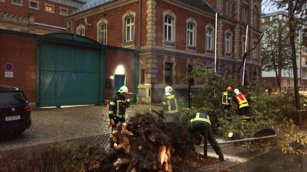 Auf der Humboldstraße vor der JVA in Zwickau war ein Baum umgestürzt. Die Freiwillige Feuerwehr Mitte rückte an, um die Straße freizuräumen. © Redaktion Auf der Humboldstraße vor der JVA in Zwickau war ein Baum umgestürzt. Die Freiwillige Feuerwehr Mitte rückte an, um die Straße freizuräumen. © Redaktion