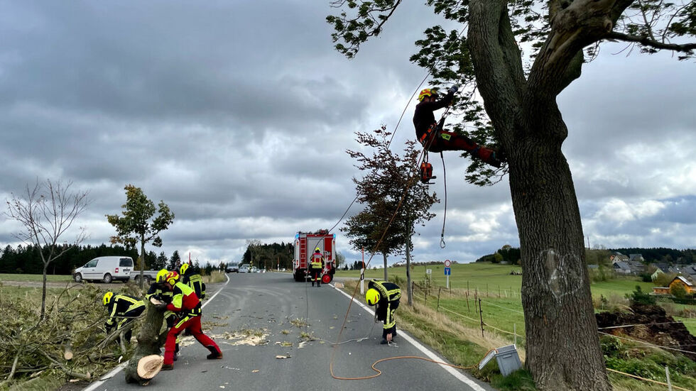 Bei Orkanböen war ein Baumsteiger hier an der S 222 zwischen Grünhain und Bernsbach im Einsatz. Bei Orkanböen war ein Baumsteiger hier an der S 222 zwischen Grünhain und Bernsbach im Einsatz.