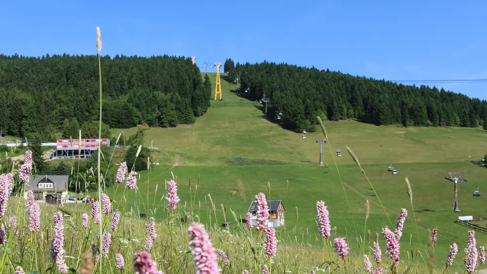 Auch die Wiesen am Fichtelberg sollen im Naturschutzprojekt besser geschützt werden. © Symbolbild