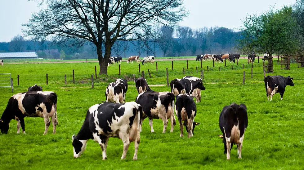 Symbolbild Symbolbild