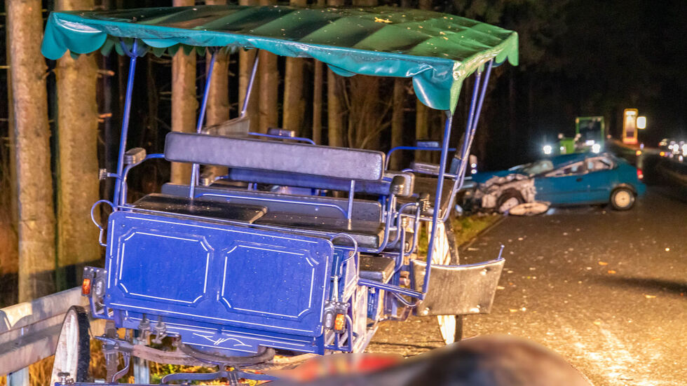 Drama im Erzgebirge: Auf der Straße zwischen Sayda und Niederseiffenbach prallt ein Auto frontal mit einer Pferdekutsche zusammen – sechs Verletzte, ein Pferd tot, Straße stundenlang gesperrt.