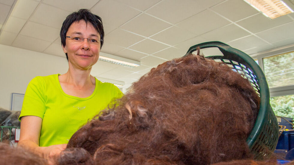 Conny Böhme verarbeitet Wolle von Alpakas, Lamas, Schafen, Ziegen, Kaninchen, Hunden oder auch Bisons, die von Privatpersonen in ganz Europa gehalten werden. Foto: Georg-Ullrich Dostmann. Conny Böhme mit einem Korb voll Tierwolle.