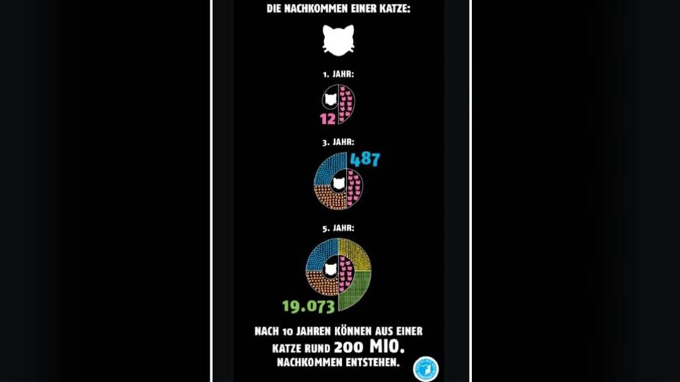 Der Deutsche Tierschutzbund rechnet vor, wie schnell sich unkastrierte Katzen vermehren. Der Deutsche Tierschutzbund rechnet vor, wie schnell sich unkastrierte Katzen vermehren.