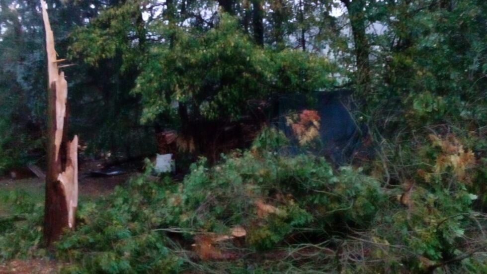 Aufnahme von einem Grundstück in Wolfersgrün. © privat Aufnahme von einem Grundstück in Wolfersgrün. © privat