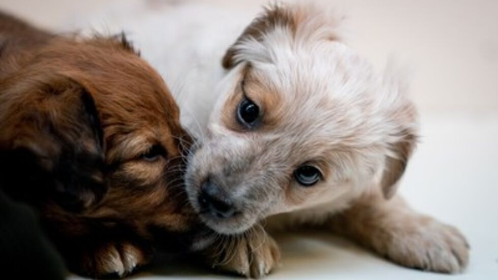 Symbolbild Symbolbild