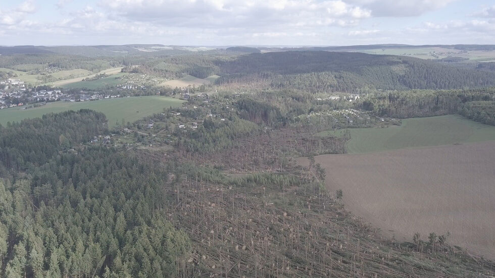 Eine Drohne hat diese Aufnahmen von einem Waldstück bei Brünlos gemacht. © Bernd März
