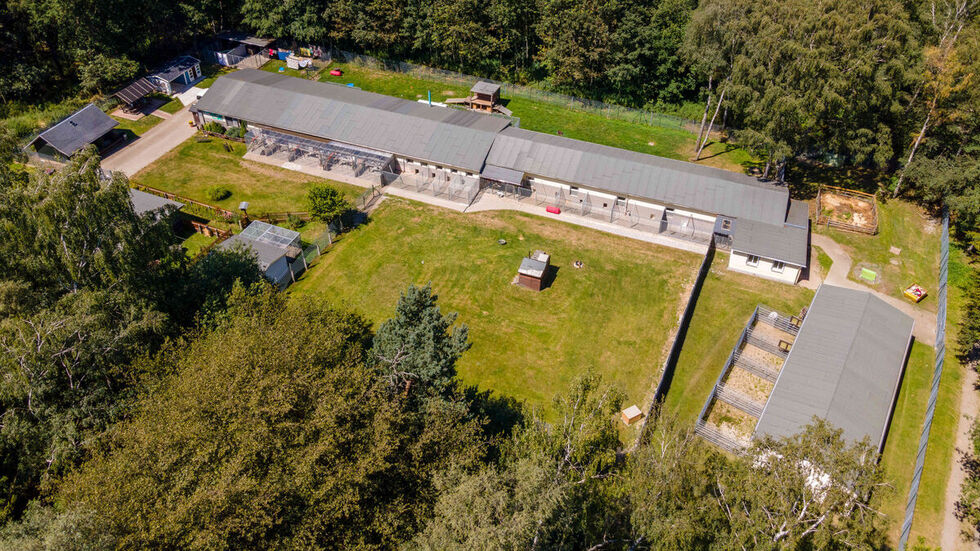 Der Tierheimkomplex von oben. Früher war das ein alter Schweinestalll.