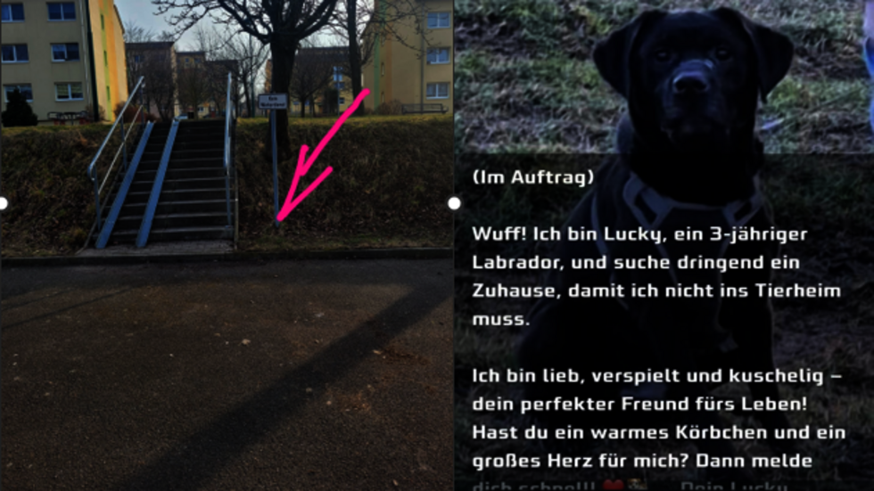 Fundort des ausgesetzten Hundes und Whatsapp-Post. Fundort des ausgesetzten Hundes und Whatsapp-Post.