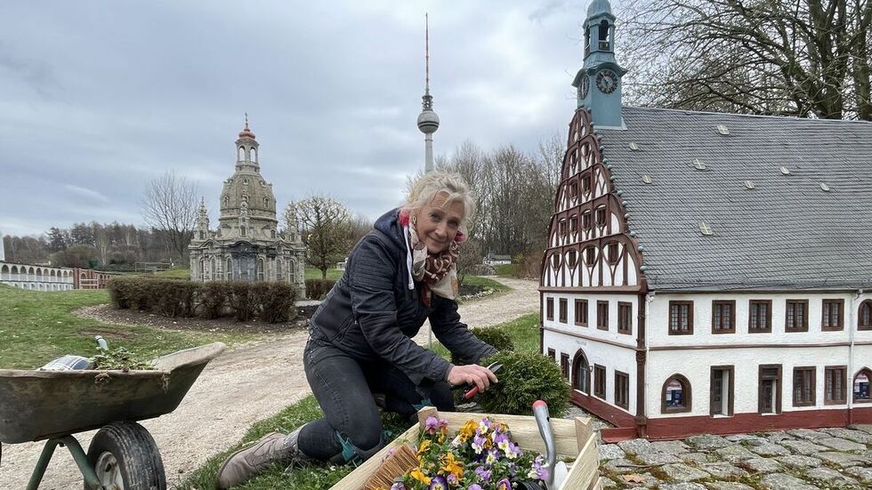Pflanzen, schneiden, saubermachen... auch Parkleiterin Anke Krasselt hat bis zum Schluss mit Hand angelegt. Pflanzen, schneiden, saubermachen... auch Parkleiterin Anke Krasselt hat bis zum Schluss mit Hand angelegt.