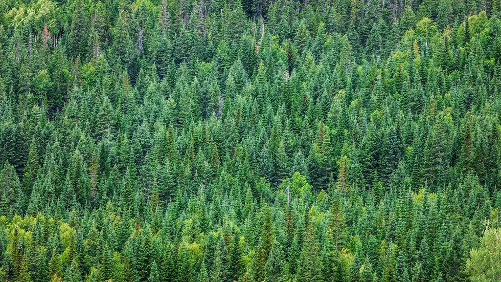 Symbolbild Symbolbild